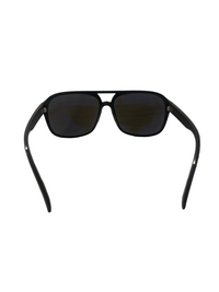 Burrard Aviator