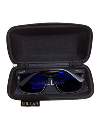 The Garibaldi