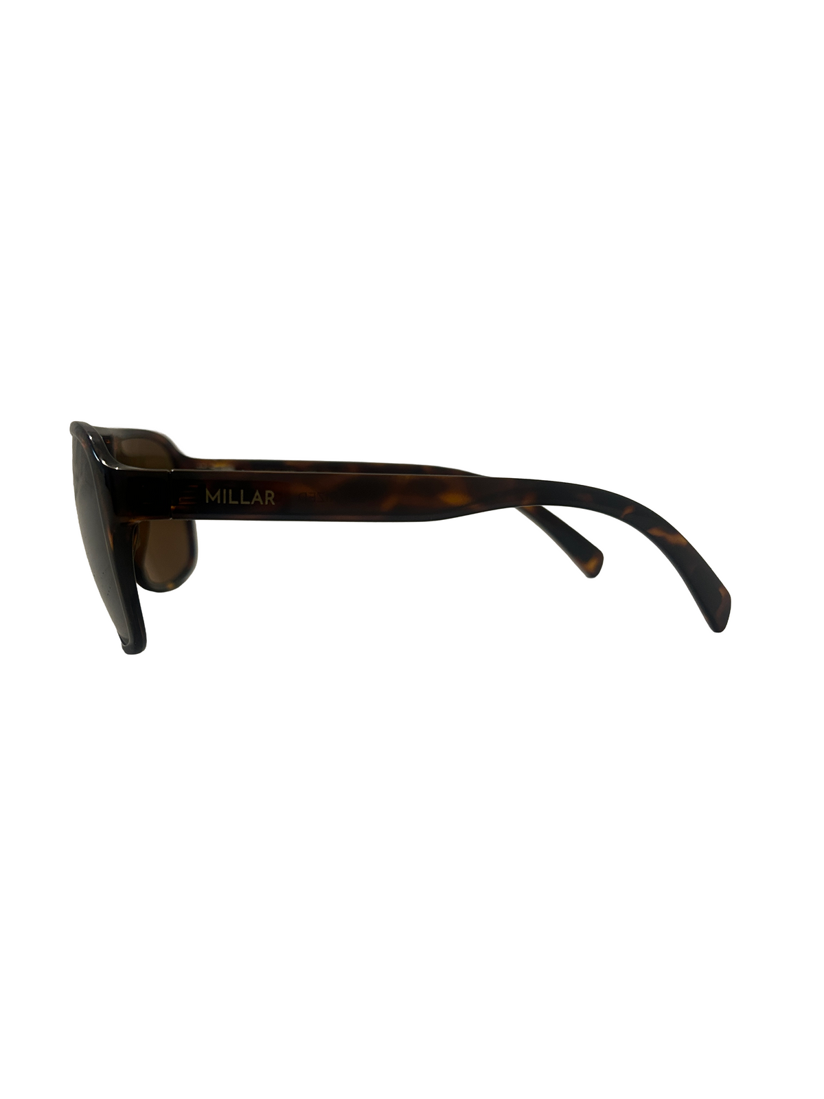 Burrard Aviator